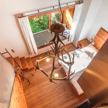 Apartament Alte Saege - *