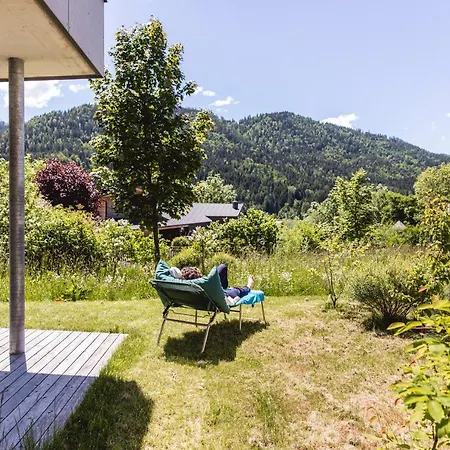 Alte Saege -