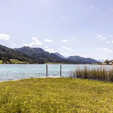 Alte Saege -